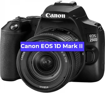 Ремонт фотоаппарата Canon EOS 1D Mark II в Самаре